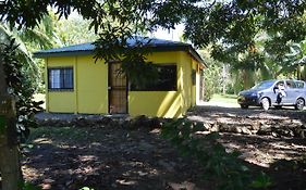 Casita Amarilla