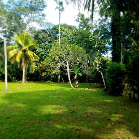 Villa Casita Amarilla à Cahuita Extérieur photo